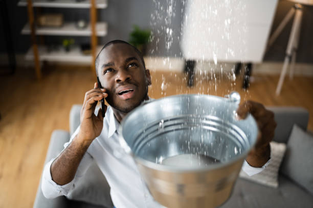 Best 24/7 water damage repair  in Algona, IA