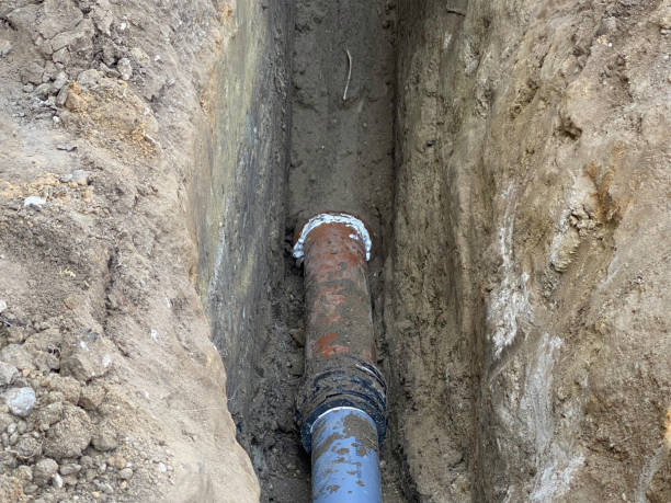 Best Flood damage cleanup  in Algona, IA