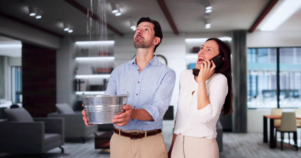 Best Ceiling water damage repair  in Algona, IA