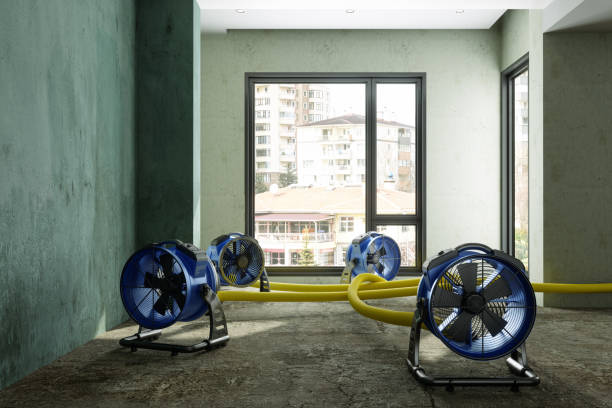 Best Emergency water damage restoration  in Algona, IA